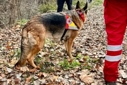 Ιωάννινα: Βρέθηκε νεκρός 75χρονος αγνοούμενος
