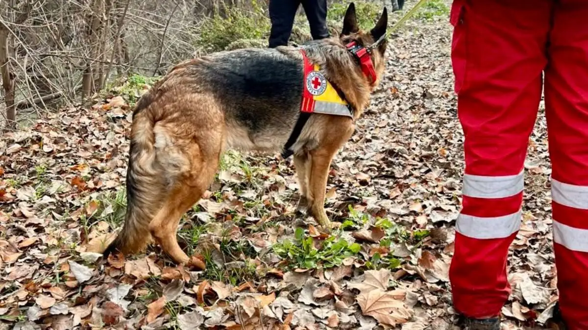 Ιωάννινα: Βρέθηκε νεκρός 75χρονος αγνοούμενος