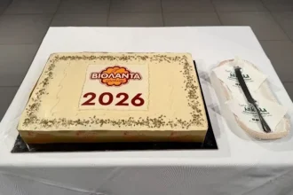 Τραγωδία με 4 νεκρές στο εργοστάσιο «Βιολάντα»: Από τη χαρά στο πένθος – Είχε προηγηθεί η κοπή της πίτας