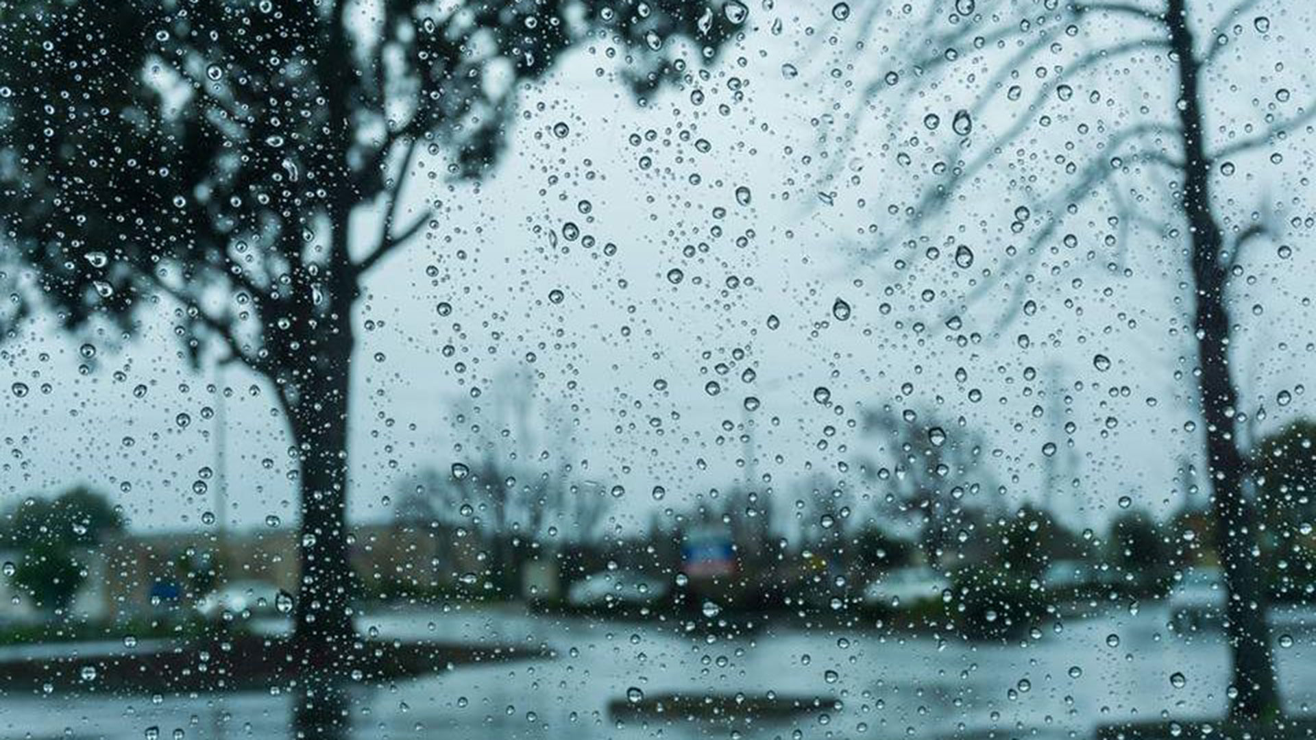 Καιρός: Στην Κρήνη Αιγιαλείας τα μεγαλύτερα ύψη βροχής το Σάββατο