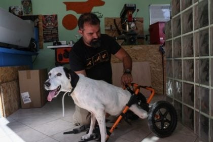 «Ρόδες ελπίδας»: Άνθρωποι που ξαναδίνουν κίνηση σε ζώα με αναπηρία