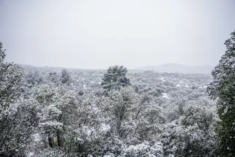 Προειδοποίηση Αρναούτογλου για τη Χαλκιδική: Τα χιόνια θα φτάσουν στη θάλασσα