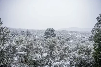 Προειδοποίηση Αρναούτογλου για τη Χαλκιδική: Τα χιόνια θα φτάσουν στη θάλασσα