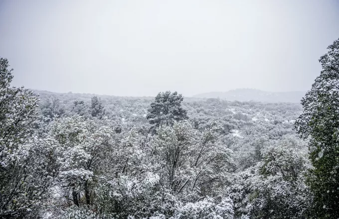 Προειδοποίηση Αρναούτογλου για τη Χαλκιδική: Τα χιόνια θα φτάσουν στη θάλασσα