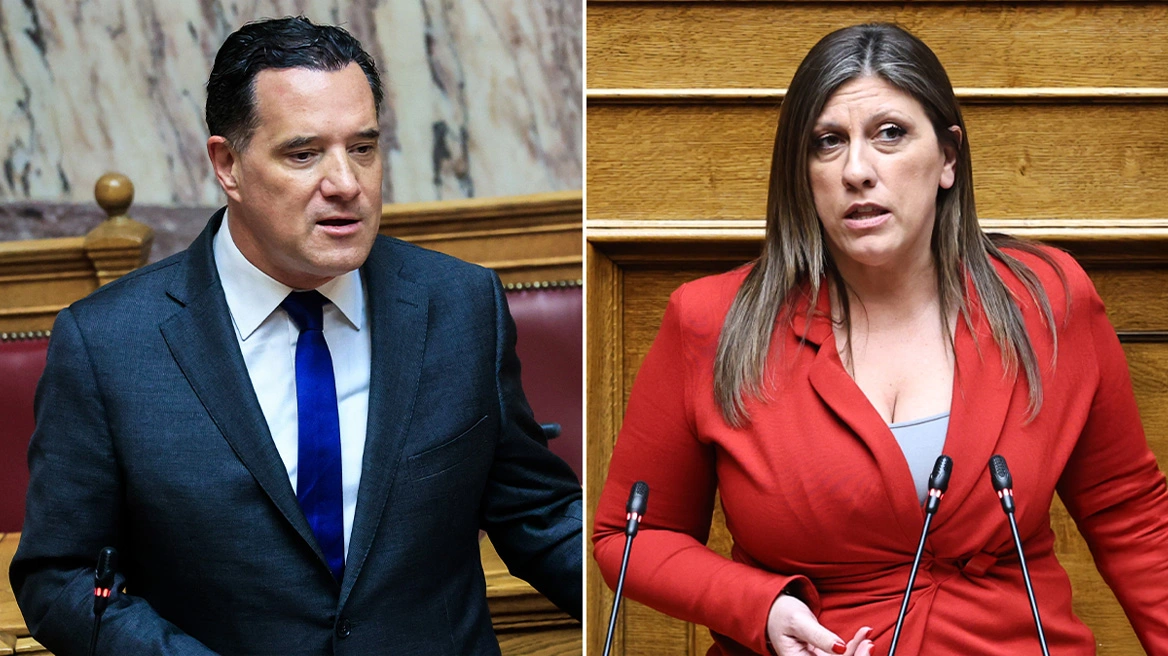 Γεωργιάδης: Η Κωνσταντοπούλου δεν είχε τίποτα καλύτερο να κάνει και με μήνυσε 10 λεπτά πριν τα μεσάνυχτα - «Προτείνω να κατέβετε υποψήφια της Καρυστιανού»