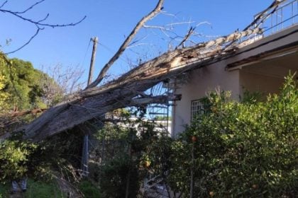 ΤΩΡΑ-Πάτρα: Έπεσε το δένδρο και δεν μπορούν να βγουν από το σπίτι τους!