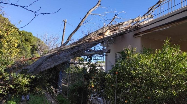 Πάτρα: Έπεσε το δένδρο και δεν μπορούν να βγουν από το σπίτι τους!