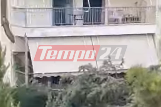 Πάτρα: Συνεχείς πτώσεις δέντρων – Έπεσε κι άλλο στις εργατικές κατοικίες στην Παραλία (ΒΙΝΤΕΟ)