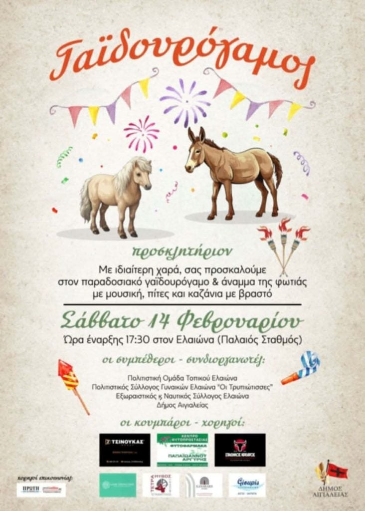 Με ιδιαίτερη επιτυχία ο γαϊδουρογάμος στον Ελαιώνα Αιγιάλειας - ΦΩΤΟ