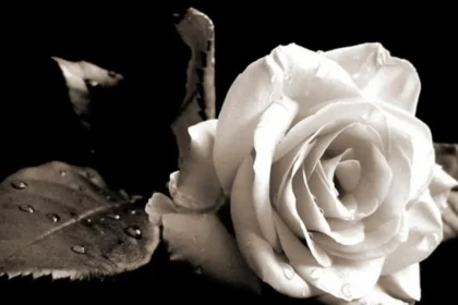 Πάτρα: Κηδεύεται την Πέμπτη ο Ιωάννης Φαρμάκης