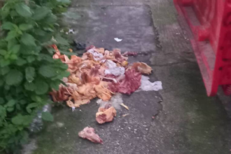 Δήμος Πατρέων: Πρόστιμα σε καταστήματα για τα πεταμένα κοτόπουλα δίπλα από κάδο