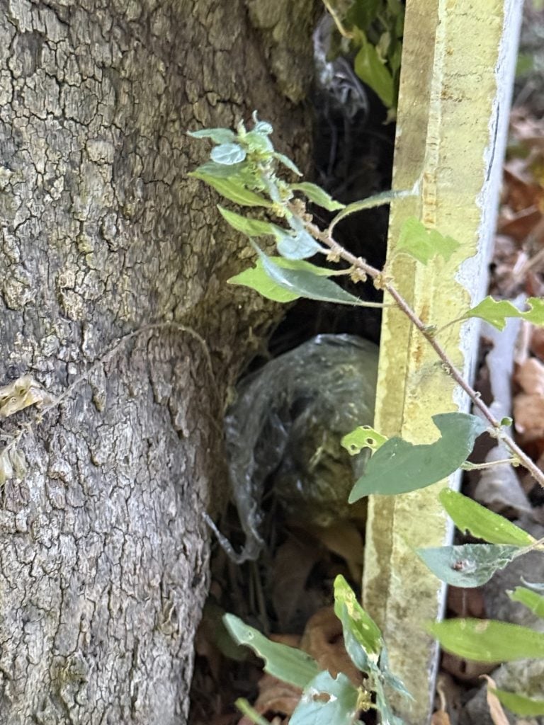 Θα έδιναν ναρκωτικά σε μαθητές κατά τη διάρκεια πενθήμερης εκδρομής-Εξαρθρώθηκε εγκληματική οργάνωση