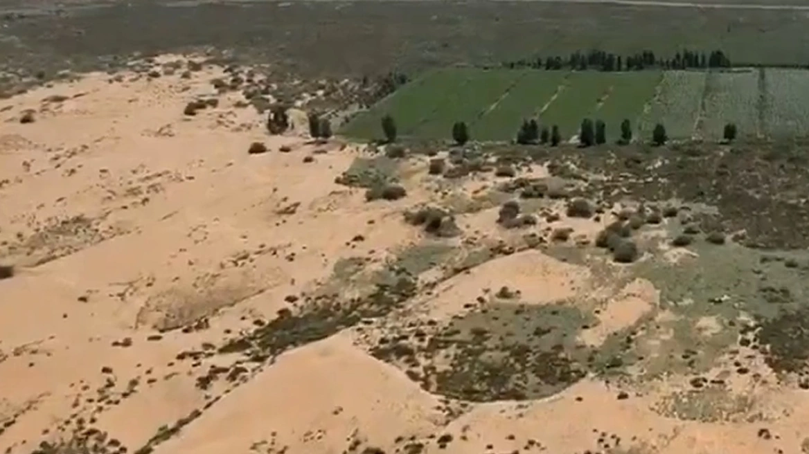 Στην Κίνα φύτευσαν εκατομμύρια δέντρα για να αναχαιτίσουν την έρημο Γκόμπι, αλλά αυτά... «ρούφηξαν» το διαθέσιμο νερό