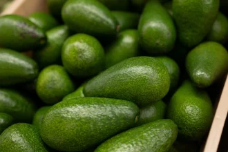 Σήμα κινδύνου στις ευρωπαϊκές αγορές για αβοκάντο Κολομβίας: Εντοπίστηκαν υψηλά επίπεδα καδμίου