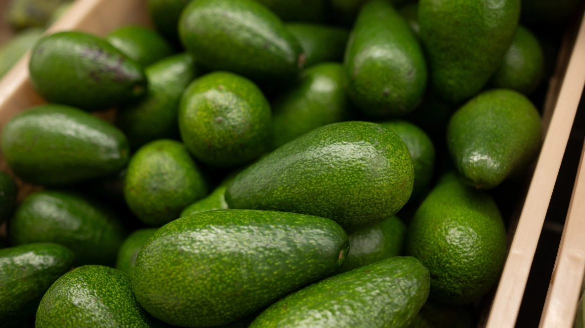 Σήμα κινδύνου στις ευρωπαϊκές αγορές για αβοκάντο Κολομβίας: Εντοπίστηκαν υψηλά επίπεδα καδμίου