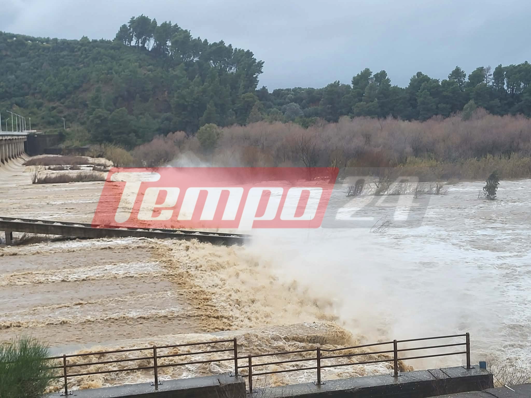 Ηλεία: «Φούσκωσε» ο Αλφειός ποταμός - Οριακά για υπερχείλιση (ΒΙΝΤΕΟ & ΦΩΤΟ)