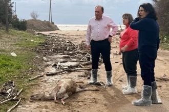 Ανδρέας Φίλιας: «Δεν πρόκειται για αμέλεια, αλλά για έγκλημα»