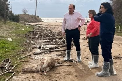 Ανδρέας Φίλιας: «Δεν πρόκειται για αμέλεια, αλλά για έγκλημα»