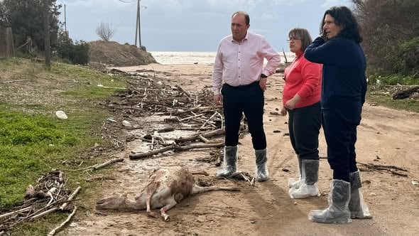 Ανδρέας Φίλιας: «Δεν πρόκειται για αμέλεια, αλλά για έγκλημα»
