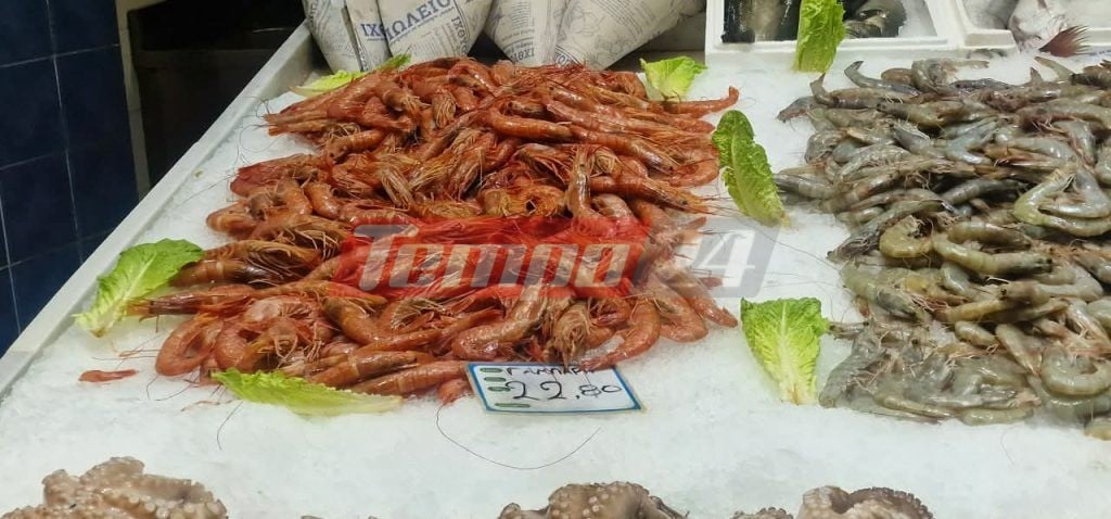 Πάτρα: Πόσο κοστίζουν τα θαλασσινά στο σαρακοστιανό τραπέζι - ΦΩΤΟ