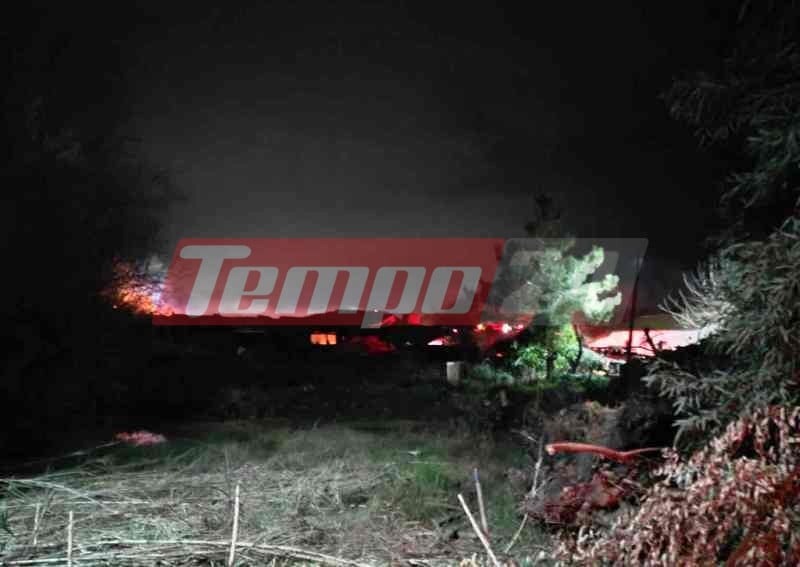 Μεγάλη φωτιά σε πτηνοτροφική μονάδα στη Δυτική Αχαΐα - Ακούστηκαν εκρήξεις (ΦΩΤΟ) - ΝΕΟΤΕΡΑ