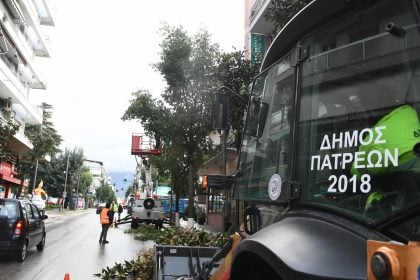 Κλάδεμα δέντρων στη Γούναρη και φοινίκων στα Βραχνέικα