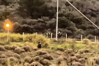 Δυτ. Ελλάδα: "Θρίλερ" με άνδρα που απειλούσε να πέσει από αερογέφυρα - Παραλίγο να τραυματιστεί σοβαρά μαζί με πυροσβέστη (ΦΩΤΟ - ΒΙΝΤΕΟ)