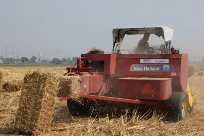 ΑΑΔΕ: Τη Δευτέρα ανοίγει ξανά το ΟΣΔΕ για διορθώσεις σε λάθη πληρωμών στην Ενιαία Αίτηση Ενίσχυσης 2024 και 2025