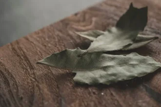 Γιατί να βάλετε φύλλα δάφνης στο πλυντήριο: Το μυστικό που κερδίζει όλο και περισσότερους θαυμαστές