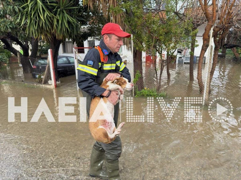 Σοβαρά προβλήματα από την ισχυρή νεροποντή στον Πύργο: Πλημμύρισαν σπίτια, πυροσβέστες κουβαλούν κατοίκους στα χέρια (ΦΩΤΟ - ΒΙΝΤΕΟ)