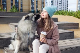 Τα μυστικά του σκύλου: Πώς επιλέγει τον αγαπημένο του άνθρωπο