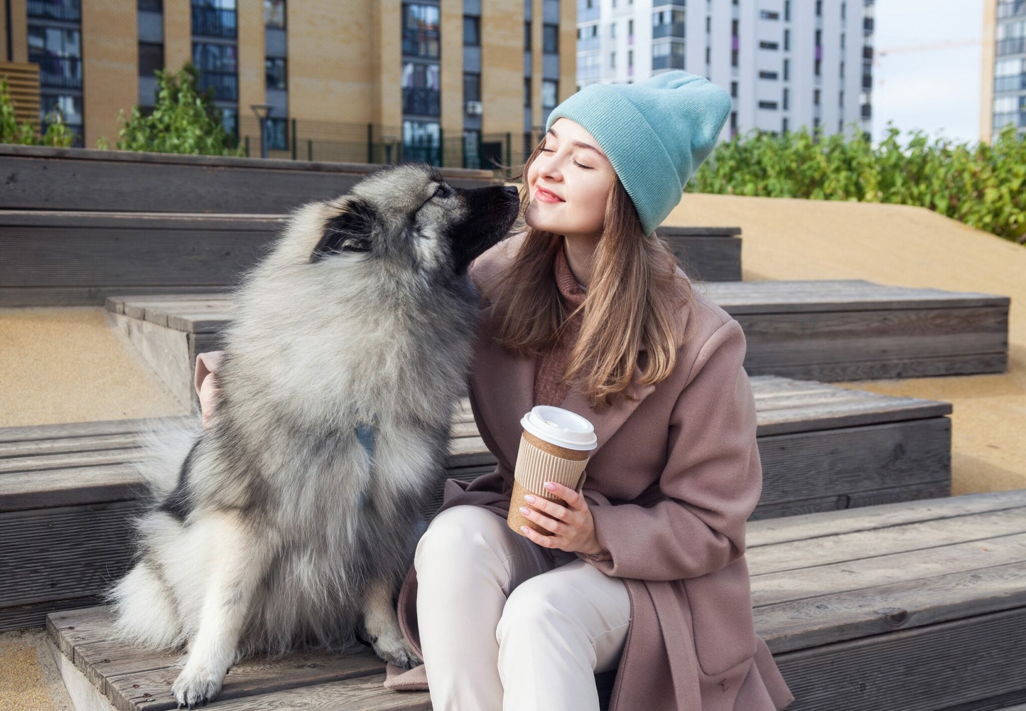 Τα μυστικά του σκύλου: Πώς επιλέγει τον αγαπημένο του άνθρωπο