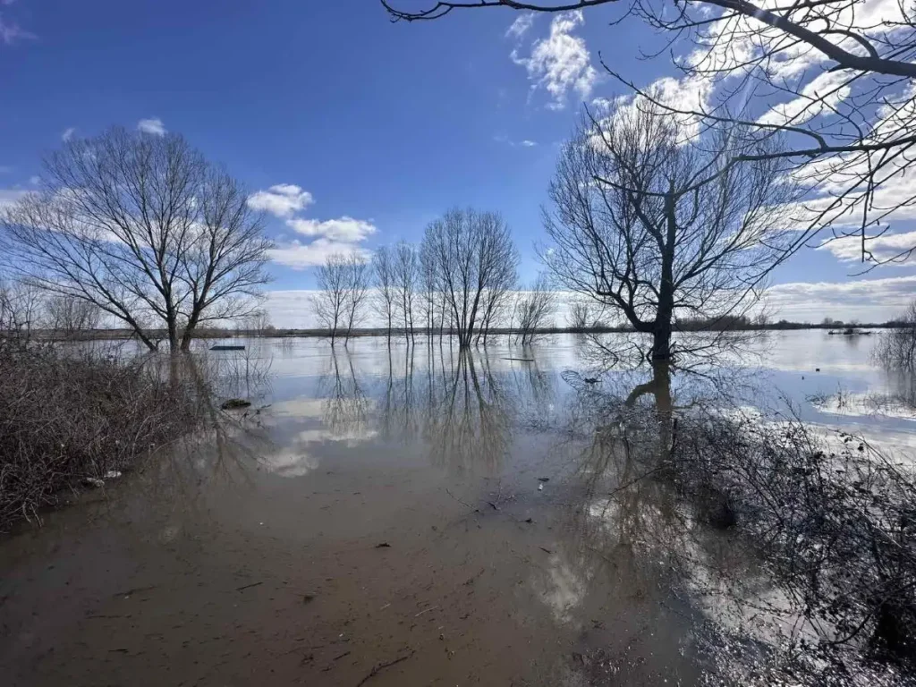 Στο κόκκινο ο Έβρος: «Η εικόνα θυμίζει το 2015 με την πλημμύρα της εκατονταετίας»