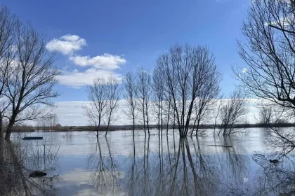 Στο κόκκινο ο Έβρος: «Τα νερά είναι πάρα πολλά και η εικόνα θυμίζει το 2015 με την πλημμύρα της εκατονταετίας»