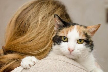 Οι γάτες θα μπορούσαν να βοηθήσουν στην εξεύρεση θεραπείας για κάποιους καρκίνους του μαστού