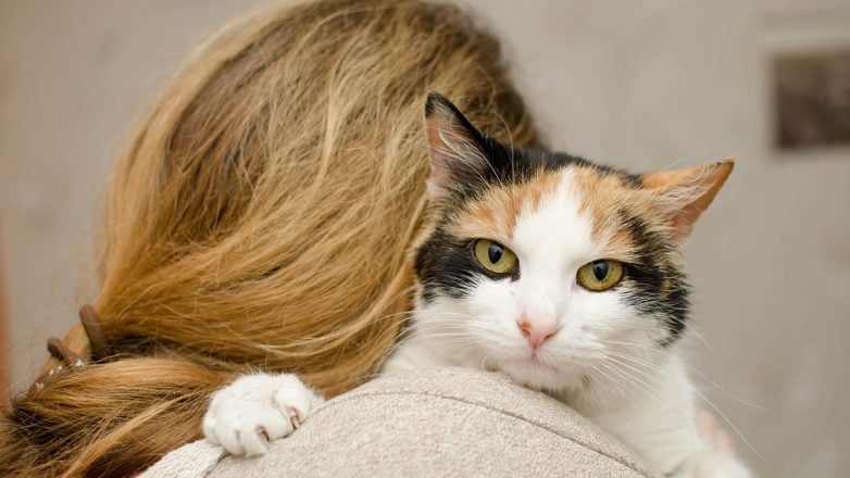 Οι γάτες θα μπορούσαν να βοηθήσουν στην εξεύρεση θεραπείας για κάποιους καρκίνους του μαστού