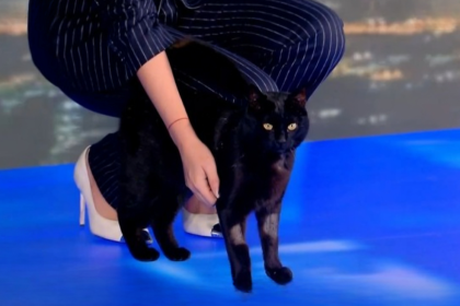 Ο "Μπάρακ" ..."εισέβαλε" ξανά στο πλατό!