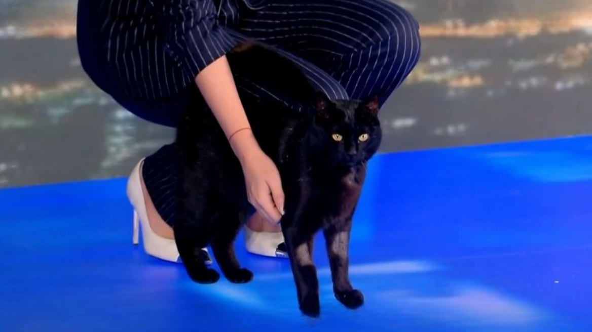 Ο "Μπάρακ" ..."εισέβαλε" ξανά στο πλατό!