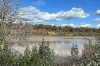 Συναγερμός για τον Αλφειό: Αγώνας δρόμου για να αποτραπούν πλημμύρες πριν τη νέα κακοκαιρία - Σχέδια εκκένωσης περιοχών