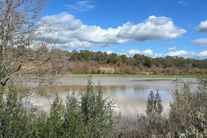 Συναγερμός για τον Αλφειό: Αγώνας δρόμου για να αποτραπούν πλημμύρες πριν τη νέα κακοκαιρία - Σχέδια εκκένωσης περιοχών