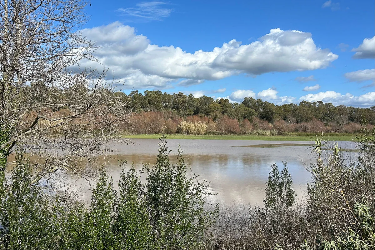 Συναγερμός για τον Αλφειό: Αγώνας δρόμου για να αποτραπούν πλημμύρες πριν τη νέα κακοκαιρία - Σχέδια εκκένωσης περιοχών