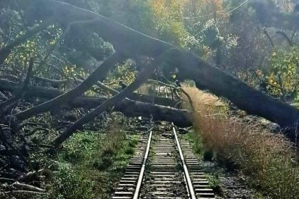 Κατάργηση δρομολογίων στον Οδοντωτό Σιδηρόδρομο λόγω πτώσης δέντρων στις γραμμές