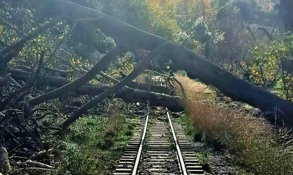 Κατάργηση δρομολογίων στον Οδοντωτό Σιδηρόδρομο λόγω πτώσης δέντρων στις γραμμές