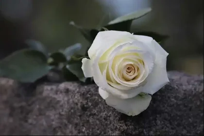 Πάτρα: Κηδεύεται την Τετάρτη ο Παναγιώτης Τρίγκας