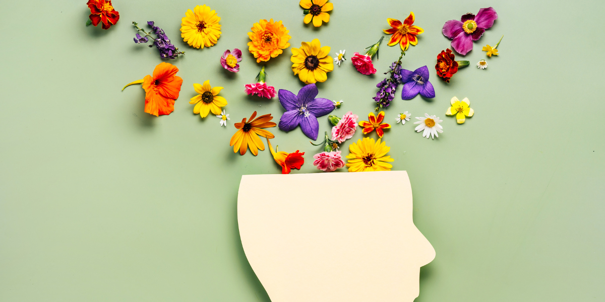 Σ.Ο.Ψ.Υ. Πάτρας: 436 νέα αιτήματα και πάνω από 4.000 θεραπευτικές πράξεις το 2025