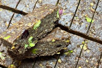 Μπάρες δημητριακών με βρώμη, χωρίς ζάχαρη, στέβια ή άλλα χημικά γλυκαντικά