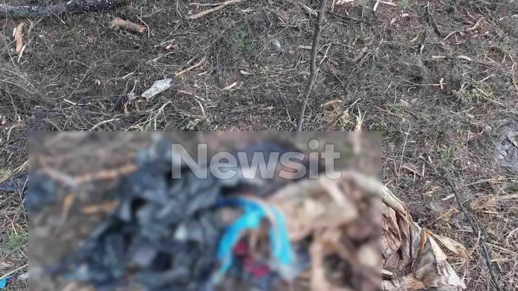 Χαλκιδική: Άγνωστο το φύλο και η ηλικία της σορού που βρέθηκε μέσα σε σακούλα