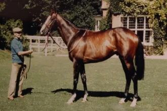 Η απαγωγή του πιο ακριβού αλόγου στον κόσμο παραμένει άλυτο μυστήριο για δεκαετίες