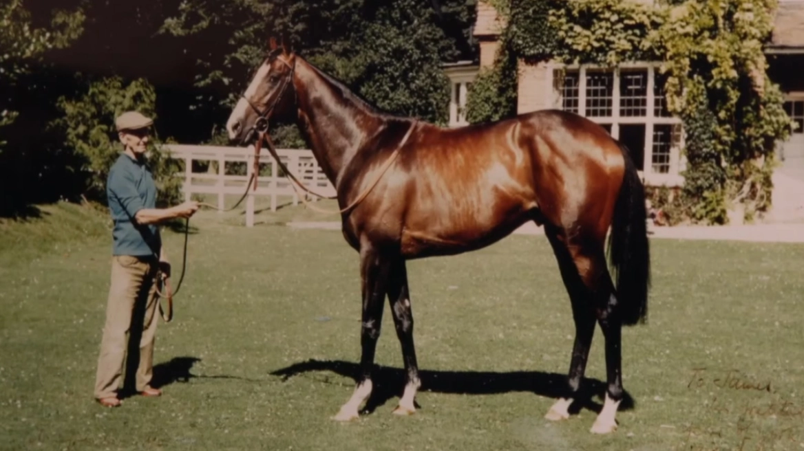 Η απαγωγή του πιο ακριβού αλόγου στον κόσμο παραμένει άλυτο μυστήριο για δεκαετίες