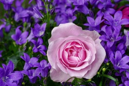 Ποιοι γιορτάζουν στις 2 Φεβρουαρίου